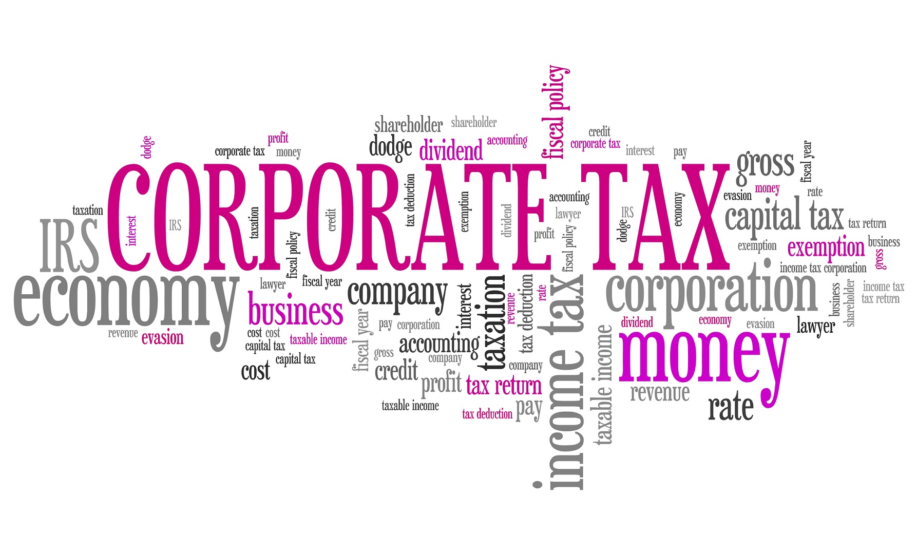 Tax Company